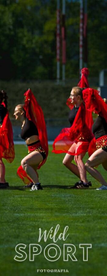 06566fb8-e52e-4650-838a-8a031b521b35