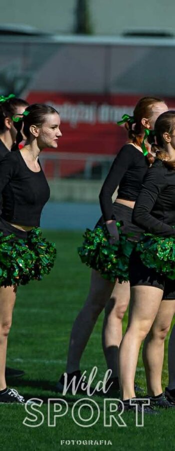 8f8c5485-ca41-41fb-b6d4-26a0ef6dfaca